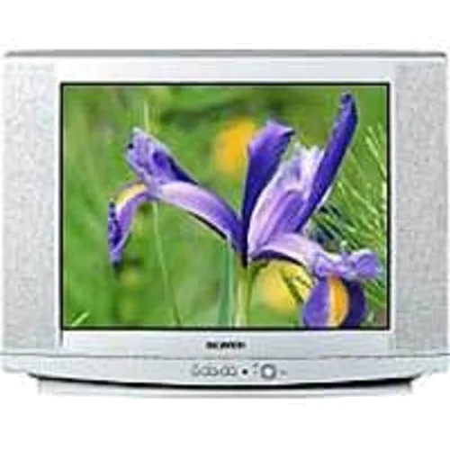 Восстановление после попадания влаги Samsung CS-29U2 WTR