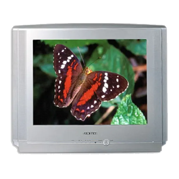 Восстановление после попадания влаги Samsung CS-21V5 R