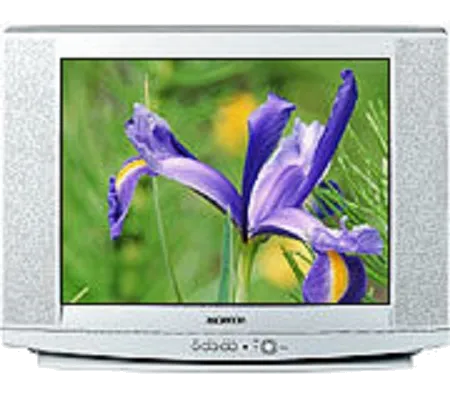 Восстановление после попадания влаги Samsung CS-29U2 R