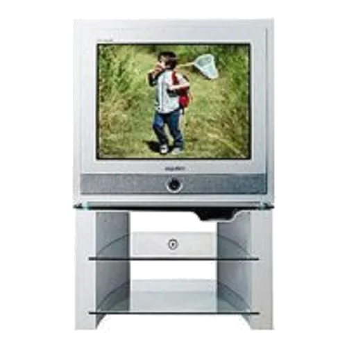 Восстановление после попадания влаги Samsung CS-34Z7HWQ