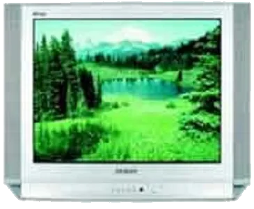Восстановление после попадания влаги Samsung CS-29D8 WTR