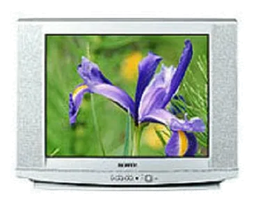 Восстановление после попадания влаги Samsung CS-29U2 WTQR