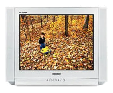 Восстановление после попадания влаги Samsung CS-29K5WTQ