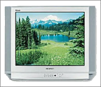 Восстановление после попадания влаги Samsung CS-25D8 WTR