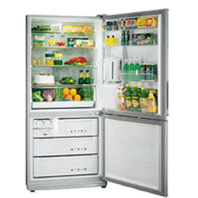 Холодильник Samsung SRL-678 EV